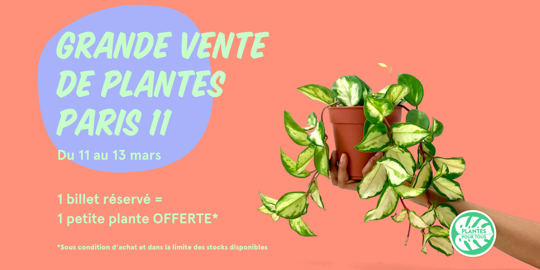 Plantes Pour Tous est de retour à Paris 11 pour une Grande Vente de Plantes  à prix minis ! - Infos 75